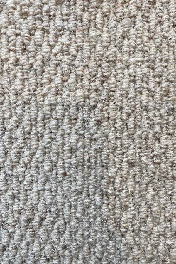 Carpet - Moquette Anvers by Pinton